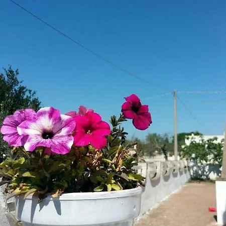 Martucci Villa *
